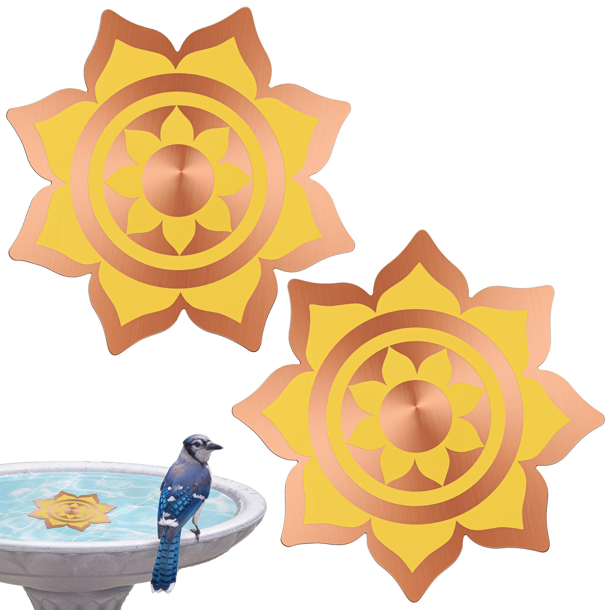 Saillong 2 Pack Bird Bath Copper Disk, Reinforced 99.99% Pure Copper Bird Bath Purification Disk for Physical Clean Water, Birdbaths Cleaner for Outdoor Birdbaths, Bowl and Garden Fountain (Petal)
