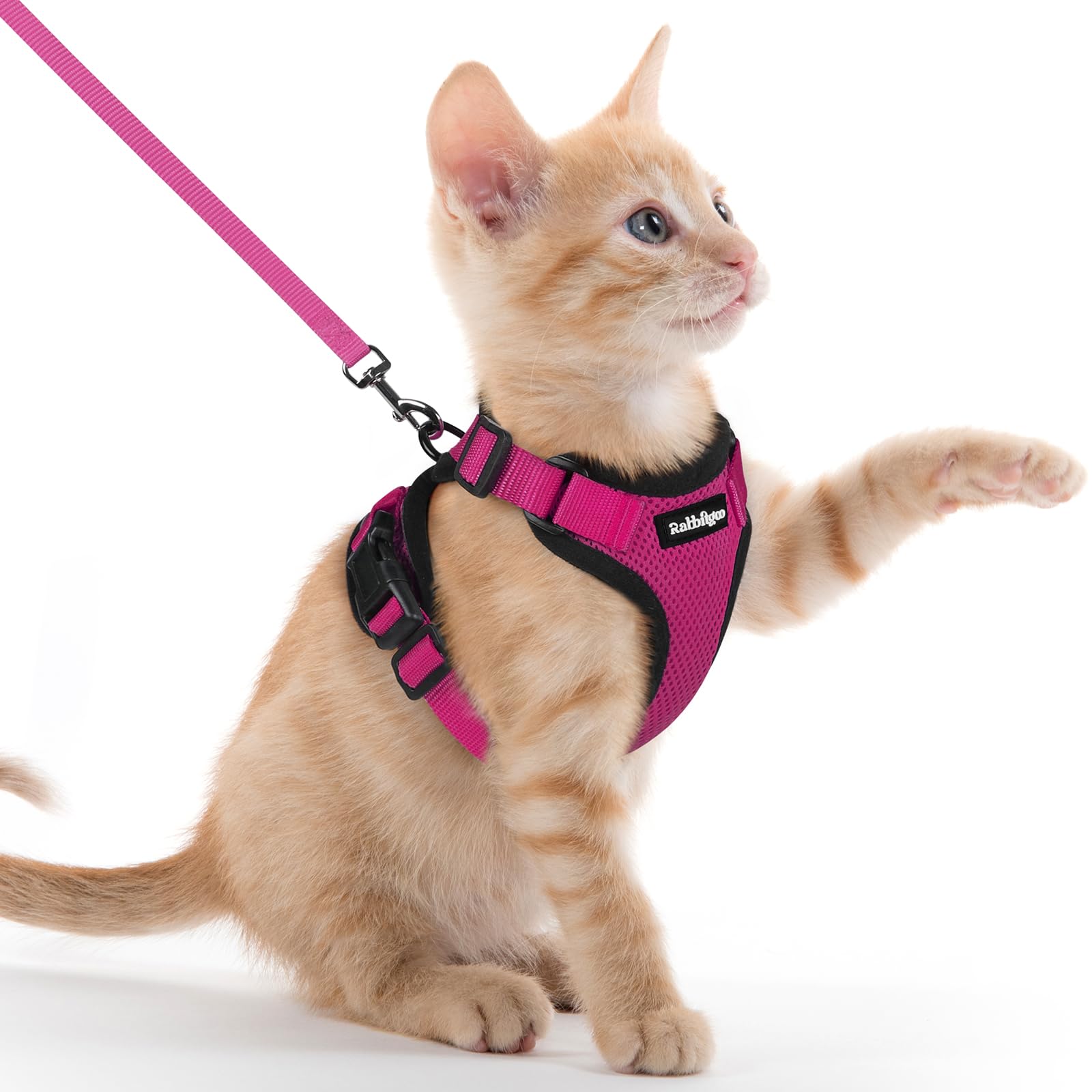 rabbitgoo Cat Harness and Leash Set, Escape Proof Vest, Emerald