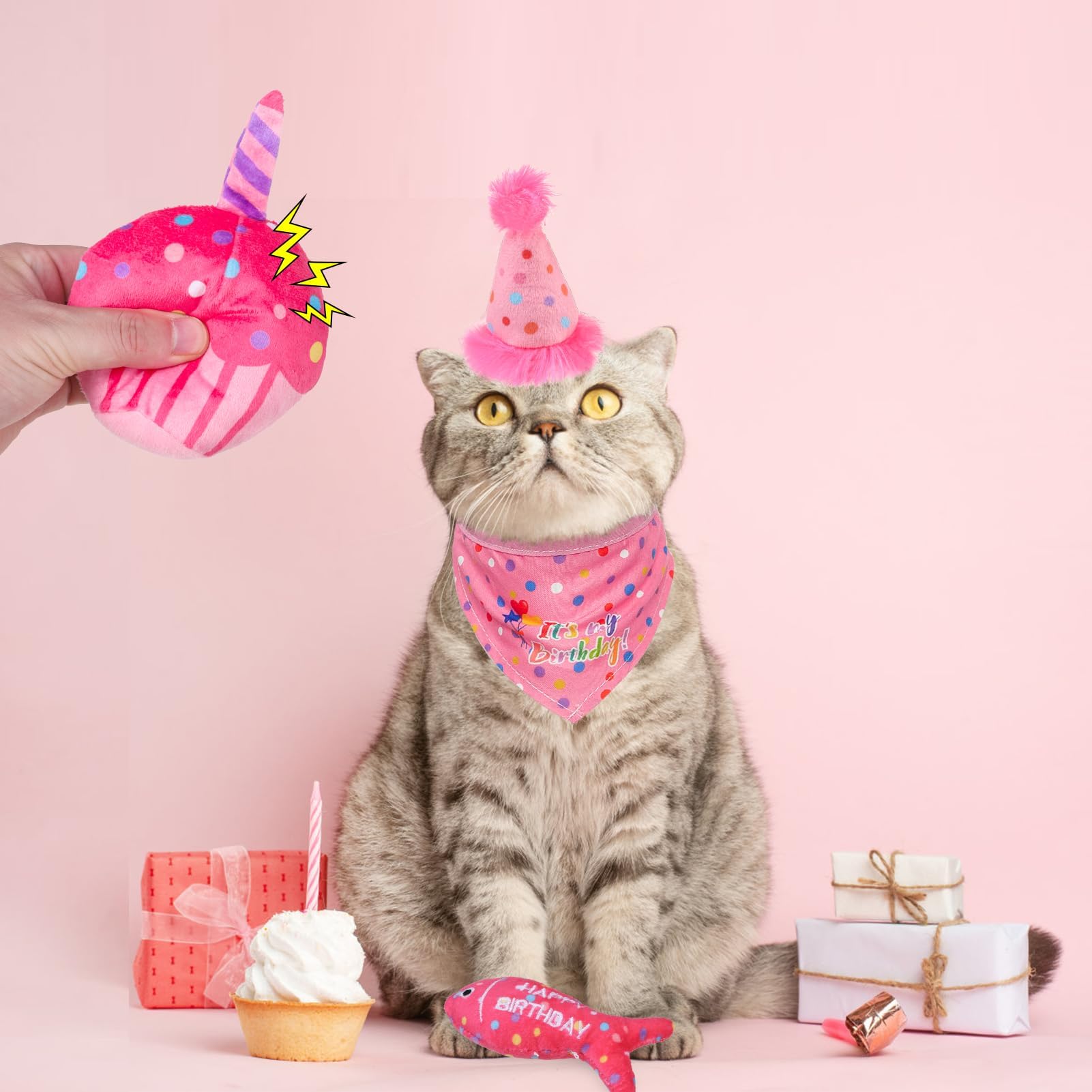 BINGPET Cat Birthday Catnip Toys for Indoor Cats, 5 Pcs Cat Birthday Gift Kitten Interactive Toys for Boy Girl Cats, Soft Plush Catmint Kitty Chew Kick Toy, Hat, Bandana, Balloon, Cake, Fish, Pink