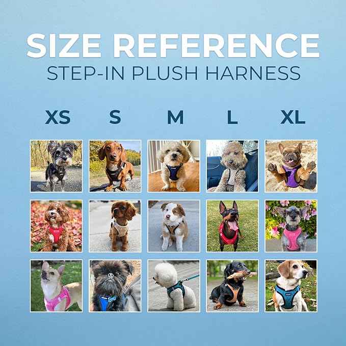 Best Pet Supplies - All Weather Plush, Reflective, No Pull Harness for Small, Medium Dogs, Cats - Secure with Hook & Loop Fastener, Buckle, Double D-Rings - Fuchsia Corduroy, S