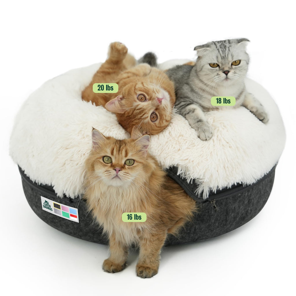 Cattasaurus Peekaboo Cat Cave for Multiple & Large Cats Up to 30-45 Lbs, Fluffy Cat Beds for Indoor Cats, Scratch Detachable & Washable Tunnel Bed, Comfy Donut Cave (Dark Gray, Large (Calming))