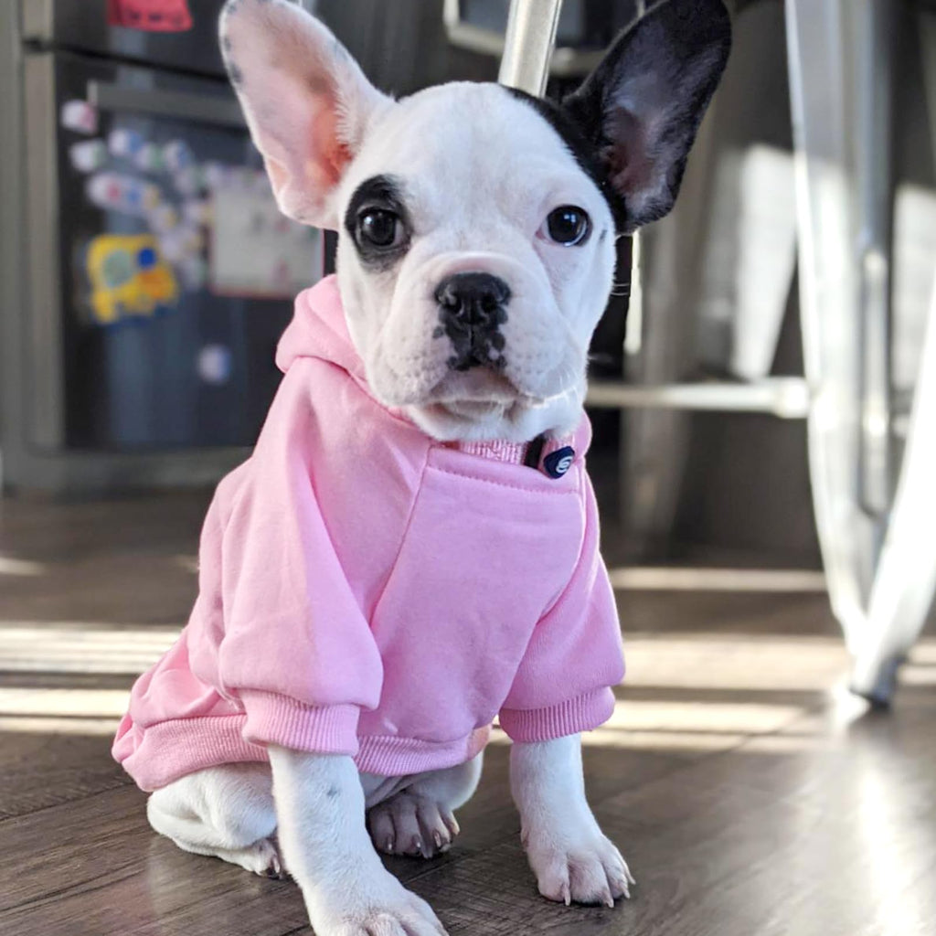 Soft Dog Hoodies for Small Dogs, Warm Fleece Puppy Clothes with Pocket