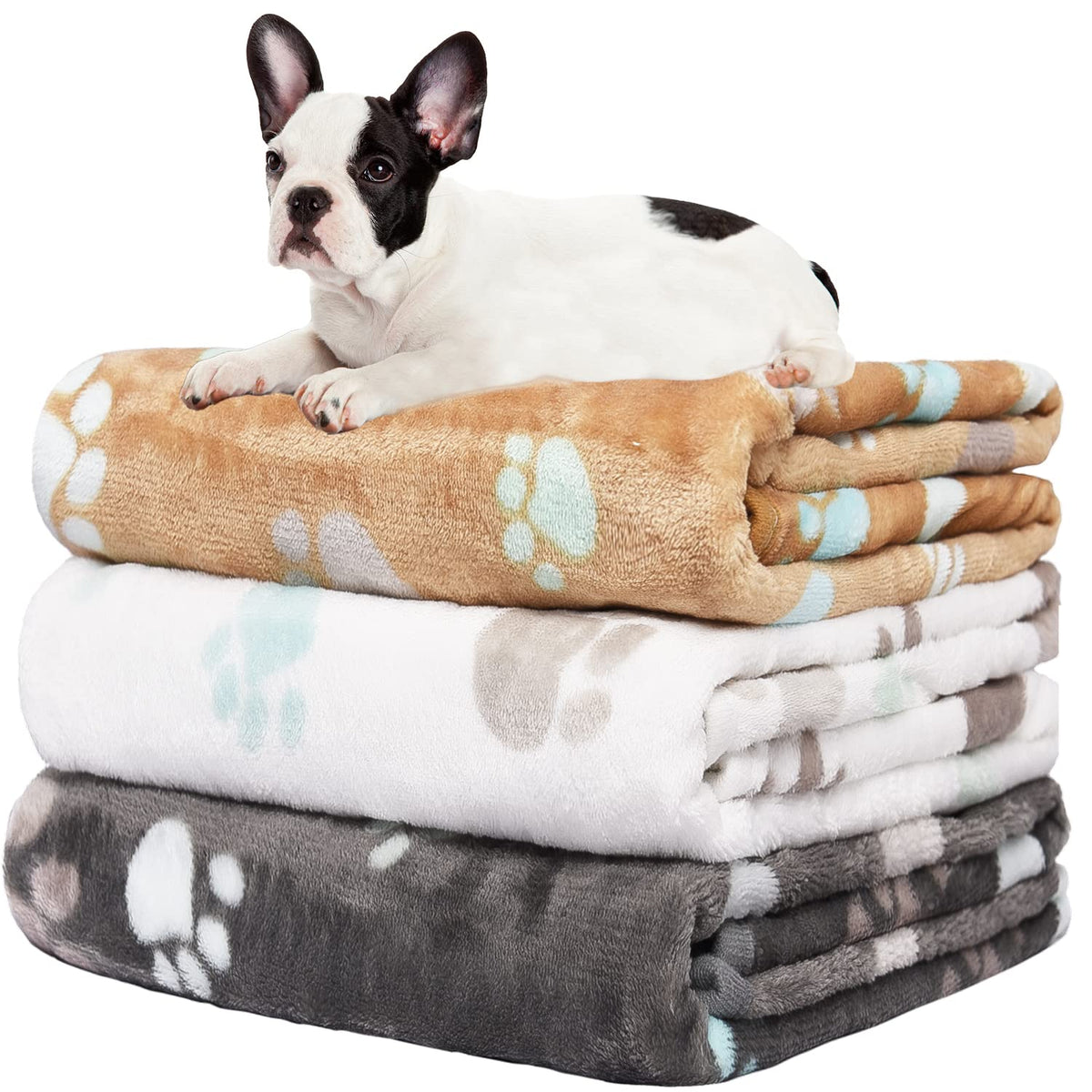 Rezutan 3 Pack Premium Soft Dog Blanket for Medium Dogs Puppy & Cat