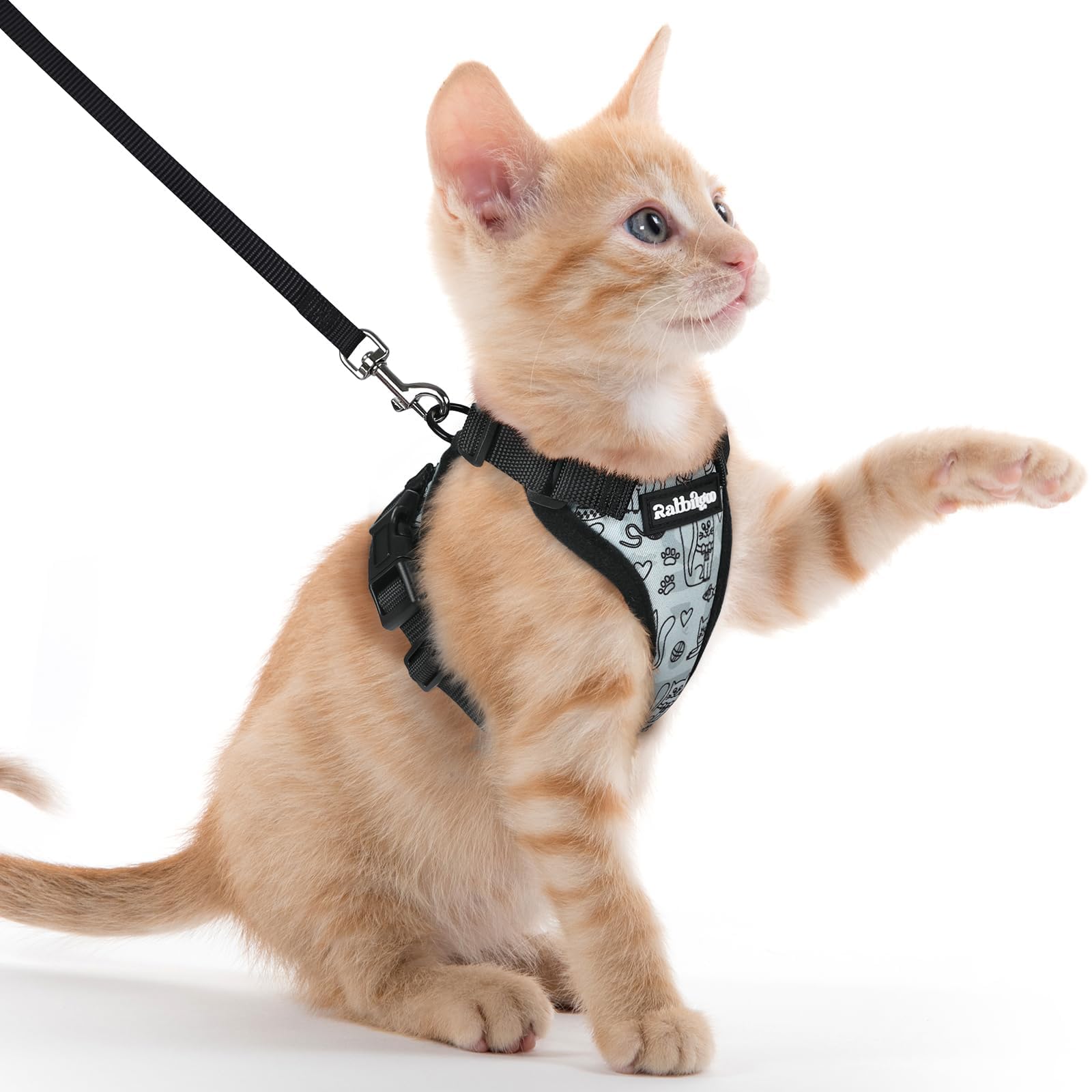 rabbitgoo Cat Harness and Leash Set, Escape Proof Vest, Emerald