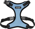 Voyager Step-in Pet Harness - All Weather Mesh, Adjustable Step in Harness for Cats and Dogs by Best Pet Supplies - Baby Blue/Black Trim, L