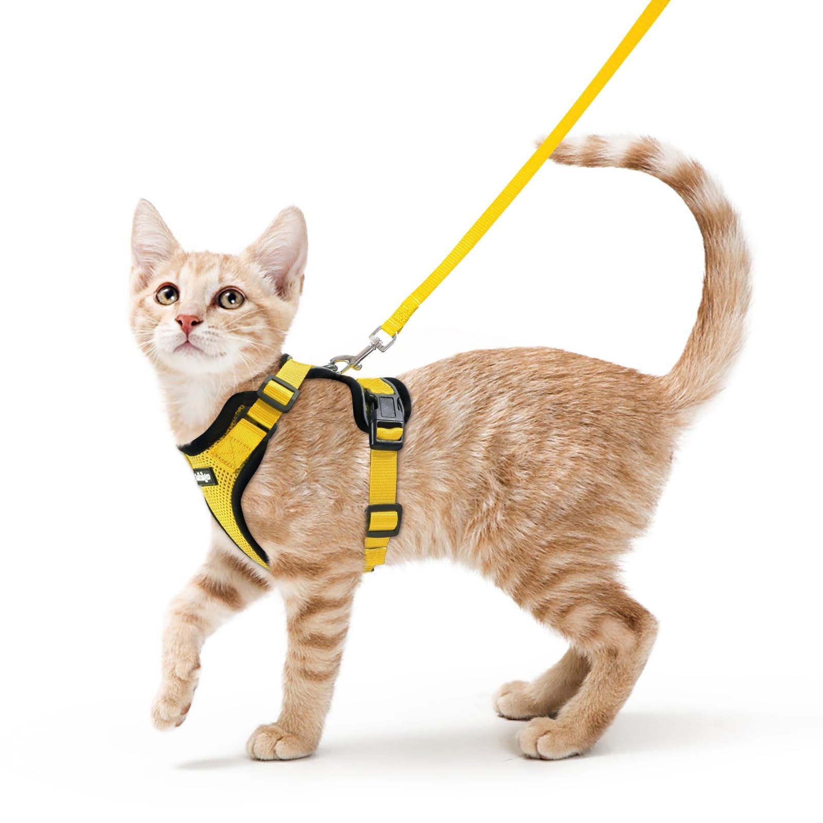 rabbitgoo Cat Harness and Leash Set, Escape Proof Vest, Emerald