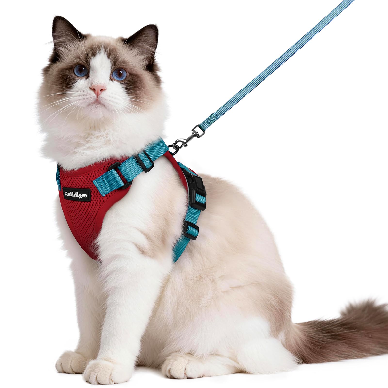 rabbitgoo Cat Harness and Leash Set, Escape Proof Vest, Emerald