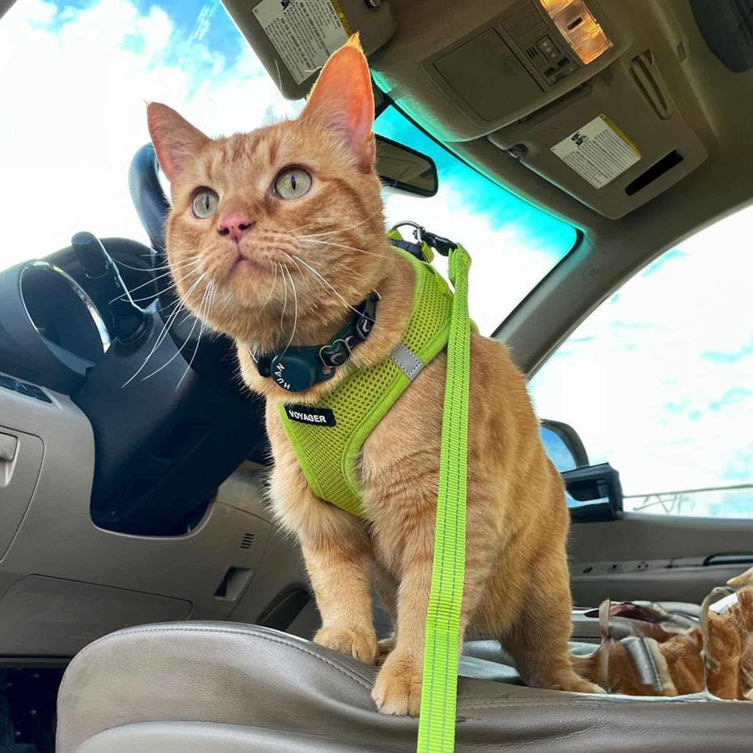 Best Pet Supplies Voyager Step-in Air All Weather Mesh Harness and Reflective Dog 5ft Leash Combo with Neoprene Handle, for Small, Medium and Large Breed Puppies - Lime Green, Small
