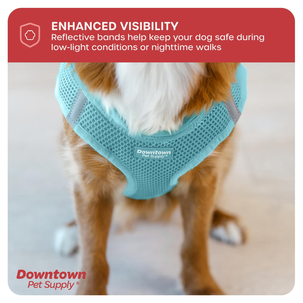 Downtown Pet Supply Step-in Dog Harness – No Pull, Adjustable Padded Mesh with Reflective Trim, Secure Buckle Strap – Comfortable & Breathable Small Dog Harness, Large, Light Blue