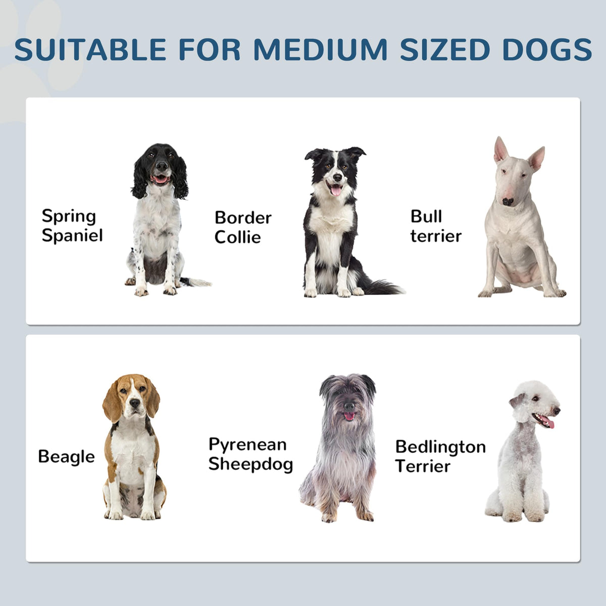 PawHut Pet Feeding Station Elevated Dog Bowls for Medium Sized Breed White