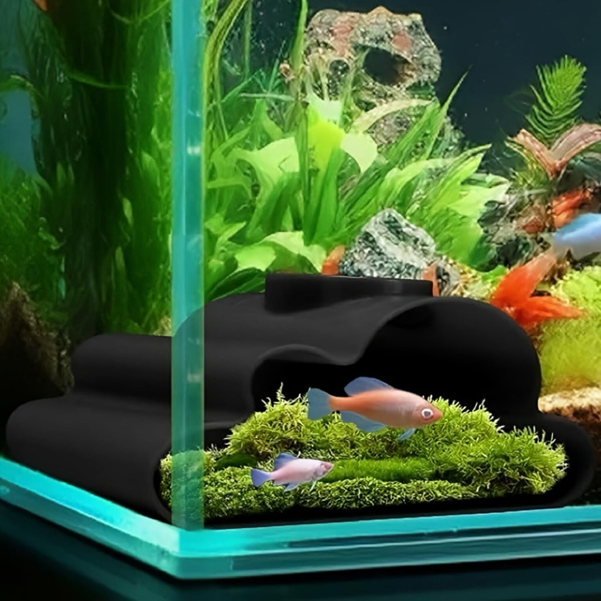 Shrimp Cave for Aquarium Tanks – Durable Fish Tank Decor, Natural Hideout for Ghost Shrimp, Fry, and Nano Fish (Easy to Clean)