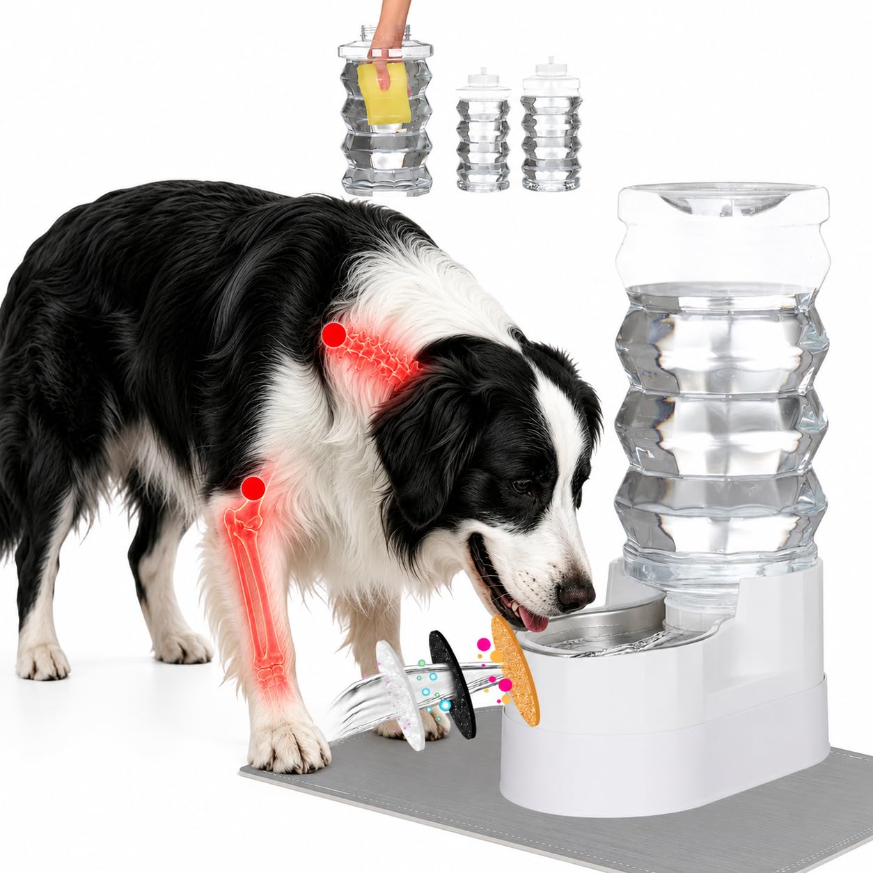 RIZZARI 9L Elevated Dog Water Dispenser: Large Capacity Wide Mouth