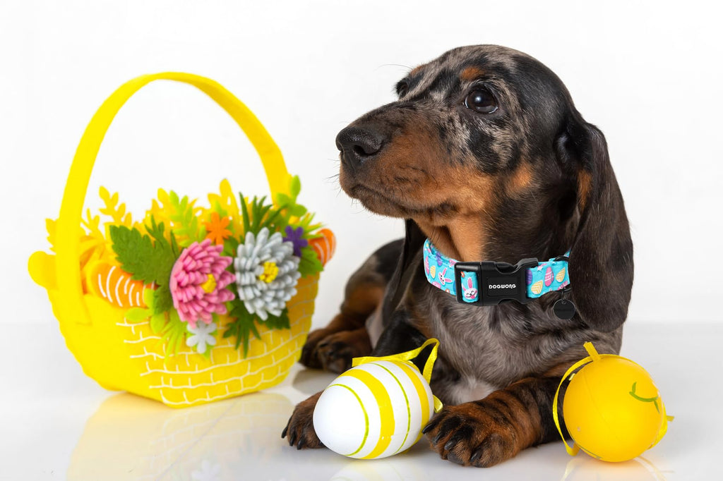 DOGWONG Easter Dog Collar, Colorful Egg Dog Collar Soft Durable Adjustable Costume Cute Easter Puppy Collar for Small Medium Large Dog