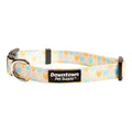 Downtown Pet Supply - Best & Fancy Dog Collar - Lightweight Adjustable with Quick Buckle & D-Ring - Hand Wash Safe - Chevron - Medium