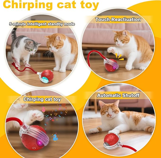 Interactive Cat Toys Ball for Indoor Cats＆Dog,Automatic Cat Toy with Smart Obstacle Avoidance,Bird Chirps & Auto Wake-Up,Includes 4 Cat Spiral Spring,Cat Enrichment Toys for Indoor Cats(Red)