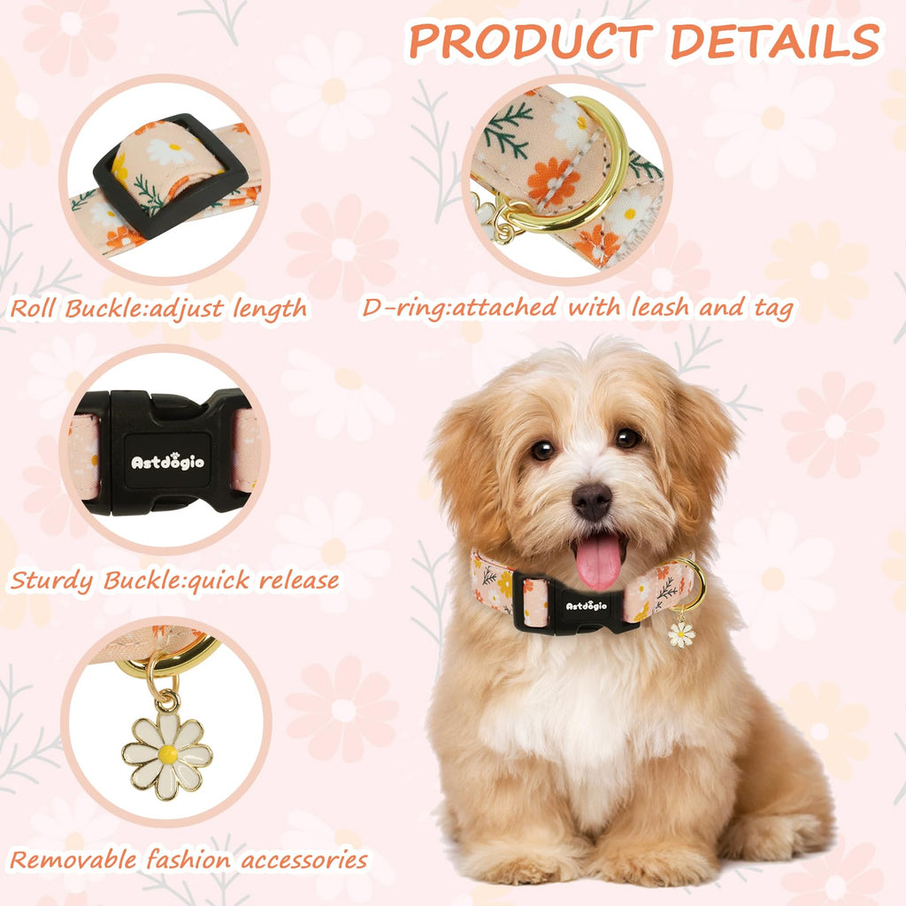 Astdogio Dog Collar for Extra Small Dogs, Spring &Summer Theme Orange Small Dog Collars with Flower Pattern, Adjustable Puppy Dog Collars, Cute Girl or Boy Dog Collar Ideal for Gifts,Pet Accessory,XS