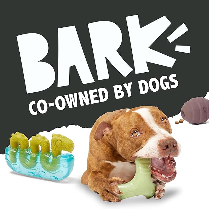 Barkbox Super Chewer Tough Dog Chew Toys for Aggressive Chewers, Dental Stimulating (PB Bone - Small)