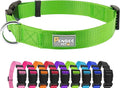PenSeepet Basic Dog Collar, Adjustable Nylon for Medium Dogs