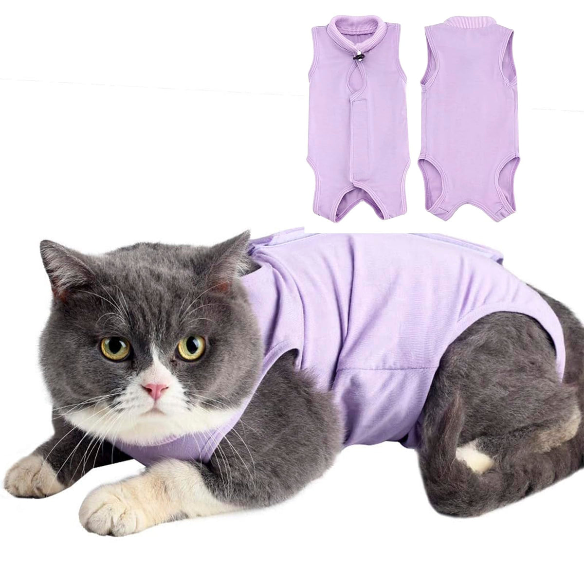 kzrfojy Cat Surgery Recovery Suit Cat Onesie for Cats After Surgery Spay Surgical Abdominal Wound Skin Diseases E-Collar Alternative Wear (Pruple-M)