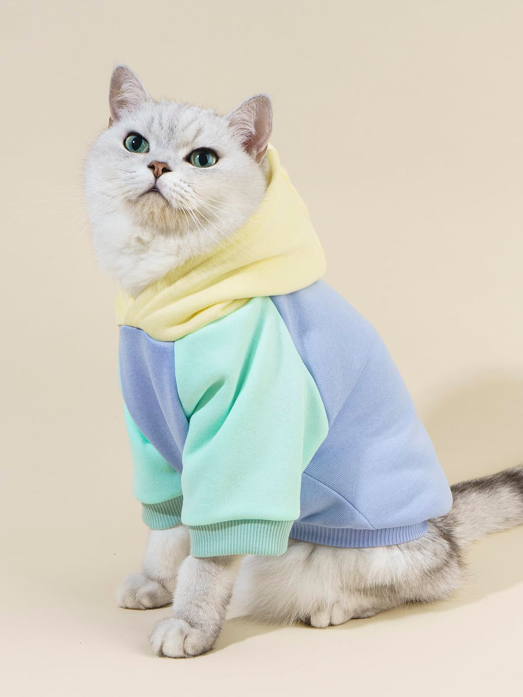 QWINEE Basic Dog Hoodie Sweatshirt Puppy Sweater Warm Cat Costumes Pet Clothes for Chihuahua Puppy Kitten Small Medium Dogs Yellow and Blue X-Small