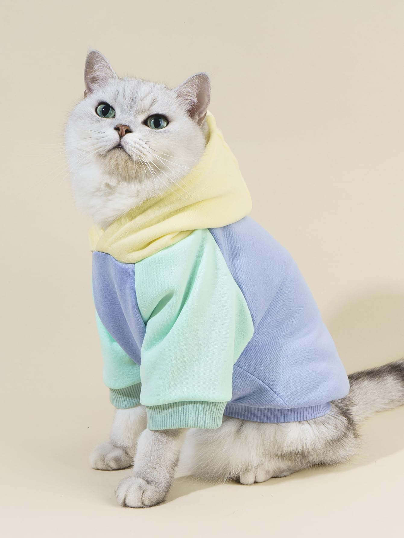 QWINEE Basic Dog Hoodie Sweatshirt Puppy Sweater Warm Cat Costumes Pet Clothes for Chihuahua Puppy Kitten Small Medium Dogs Yellow and Blue X-Small