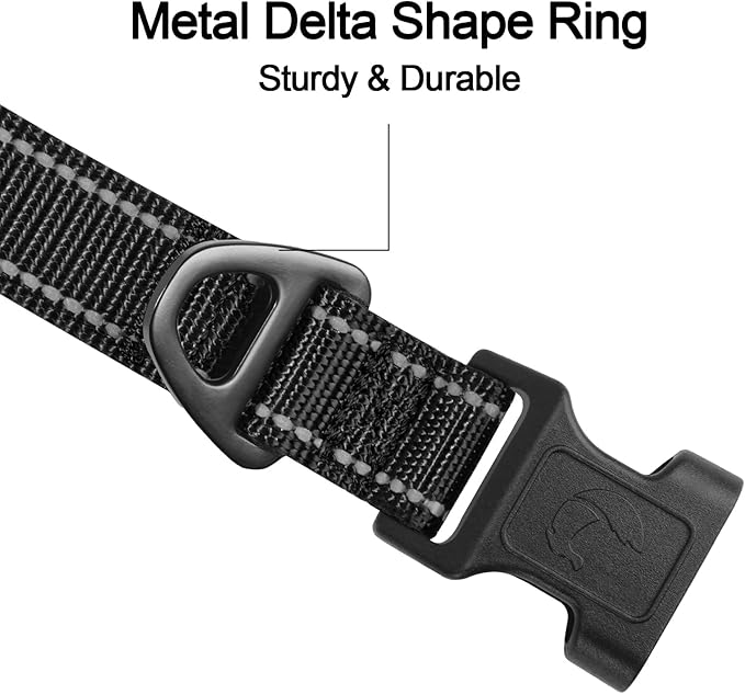 Joytale Reflective Dog Collar, Adjustable Neoprene Padded, Black L