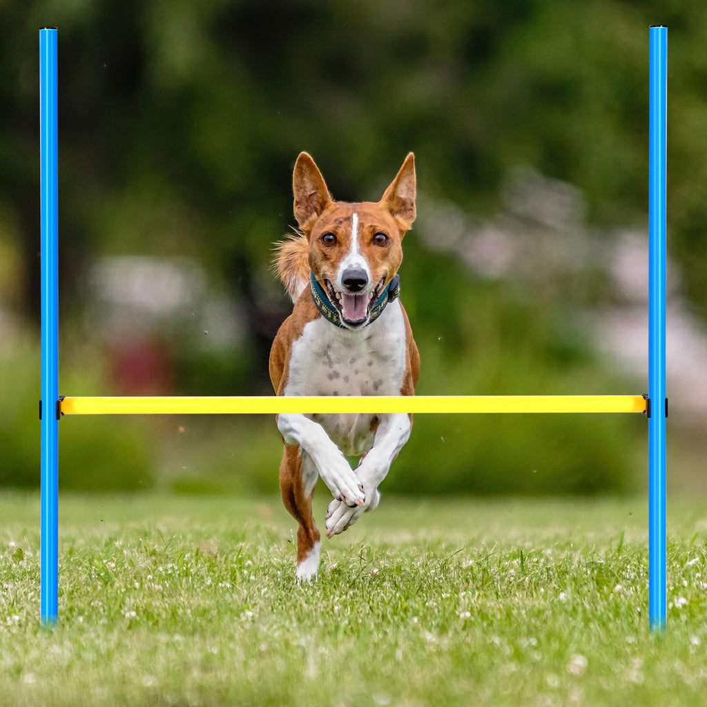 Hollowfly 8 Set Dog Agility Jump Adjustable Dog Agility Hurdle Training Equipment Portable Jumper Hurdle Park Indoor Outdoor Exercise Tool 3.44ft High/ 2.95ft Wide(Blue and Yellow)