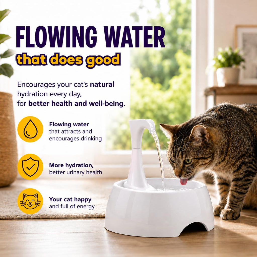 Aqua First Pet Water Fountain - Automatic Drinking Bowl for Cats and Dogs - Light and Portable - Replaceable Filters - Ergonomic Design - 1.2L/42 fl oz - White