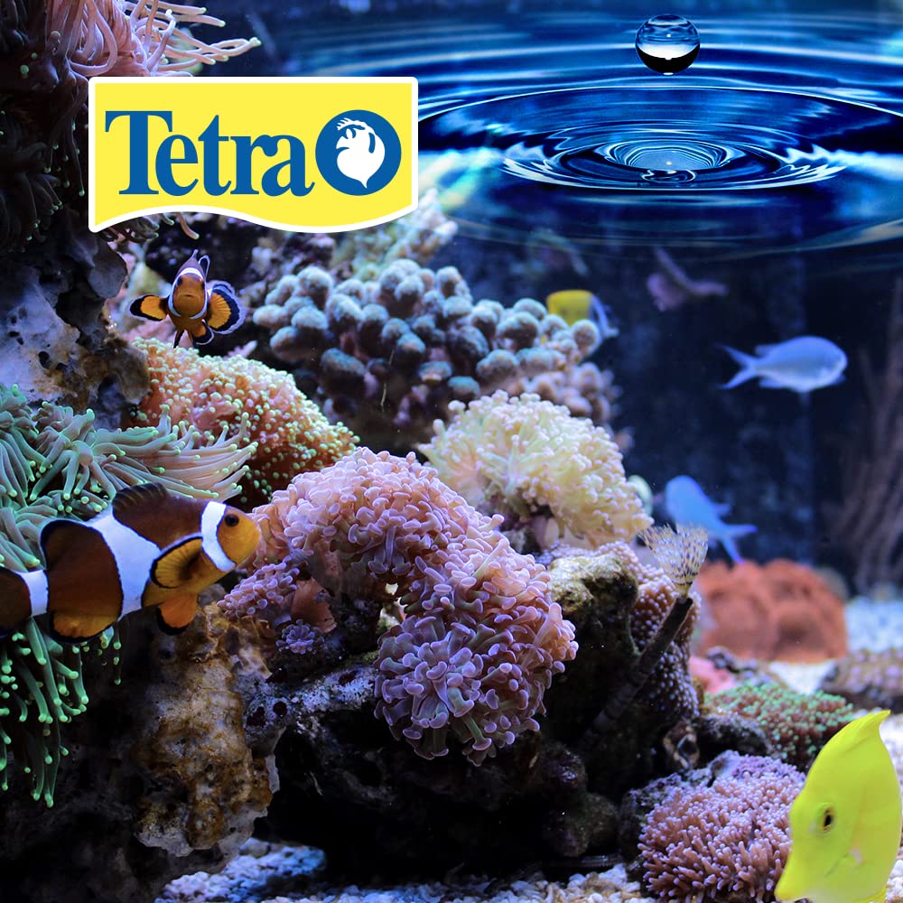Tetra BettaSafe Water Conditioner for Betta Fish Tanks, 1.69 oz