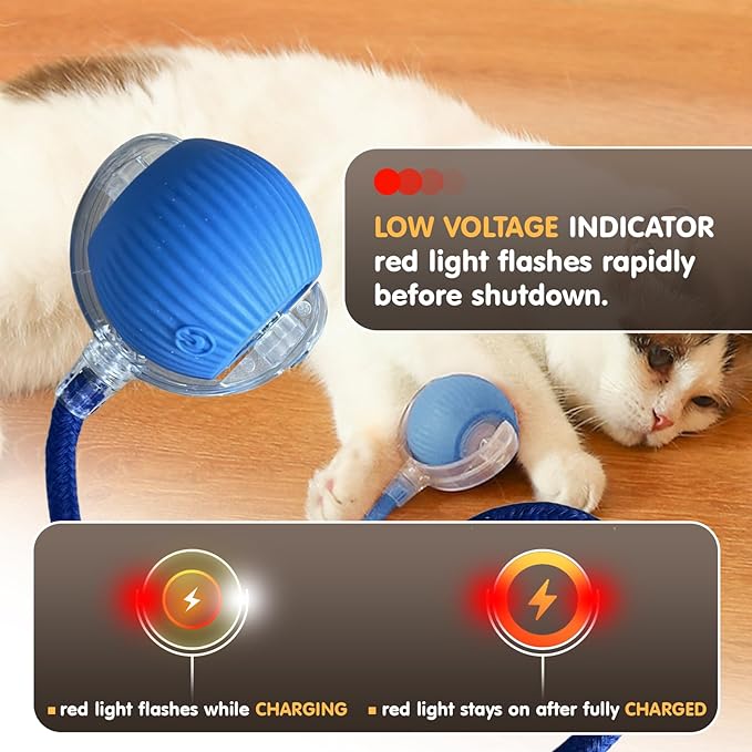 Rocfish Durable Interactive Cat Toys for Indoor Cats (Blue, 01)