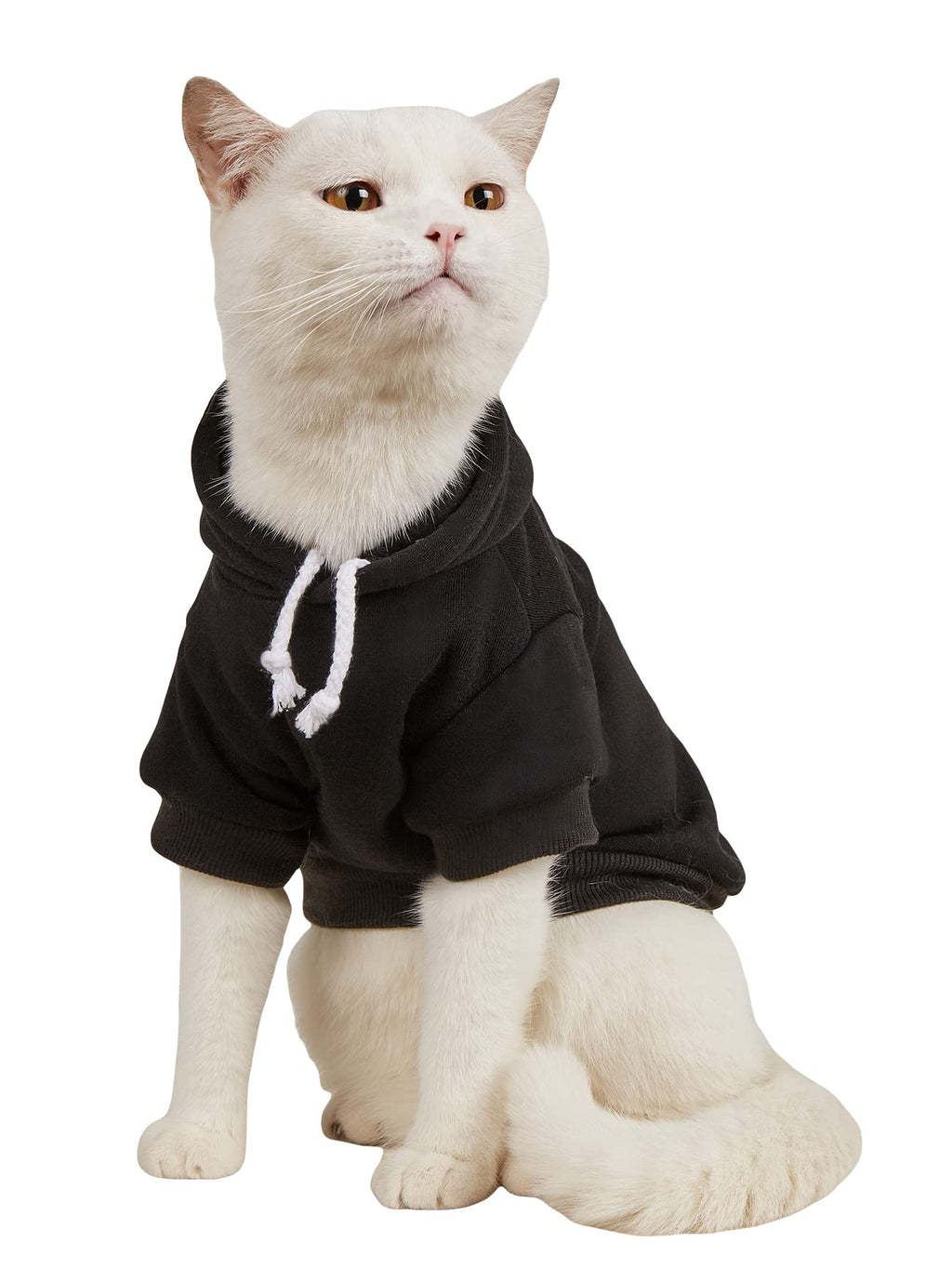 QWINEE Basic Dog Hoodie Sweatshirt Puppy Sweater Warm Cat Costumes Pet Clothes for Chihuahua Puppy Kitten Small Medium Dogs Black Large