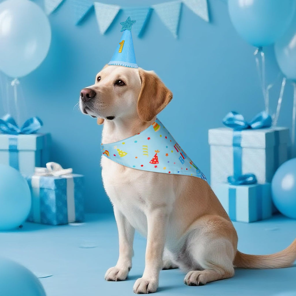 Agroon Blue Dog Birthday Set with Hat Bandana Numbers for Pet Puppy Boy
