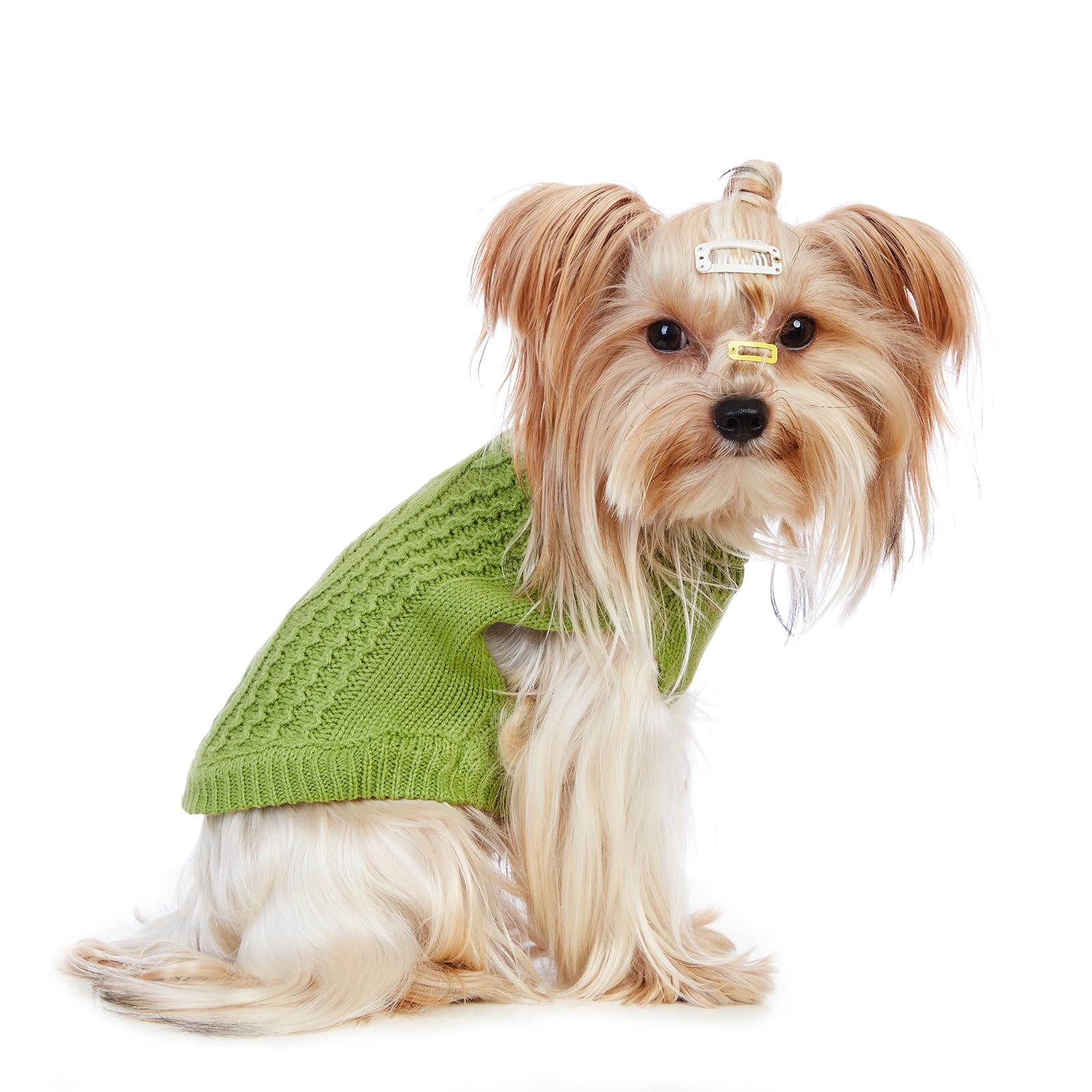 Jnancun Cat Sweater Stretchy,19 Colors,6 Sizes,Snug Winter (Green, X-Small, Vest)