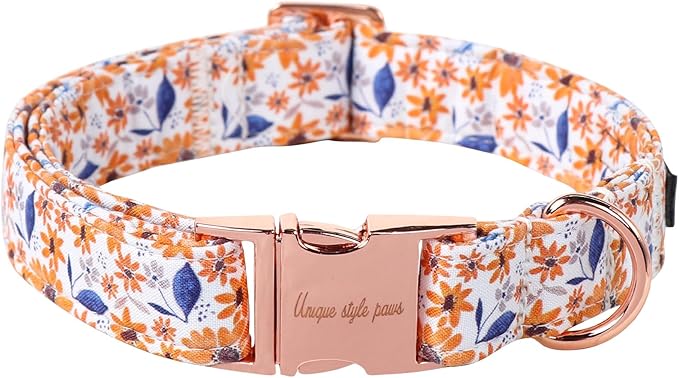 Unique style paws Dog Collar Metal Buckle Collar for Autumn Winter Christmas for Small Medium Large Boys Girls Dogs — S