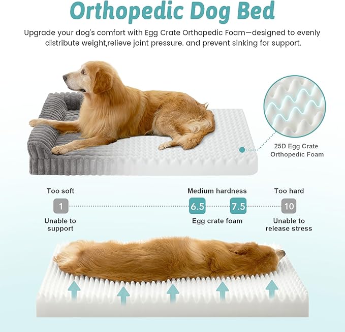 Cute Dog Bed, Faux Rabbit Fur Orthopedic Foam Dog Bed with Sides, Removable Washable Cover & Waterproof Lining, Comfortable Pet Couch for Medium Dogs, Grey (36" L x 27" W x 6.5" Th)