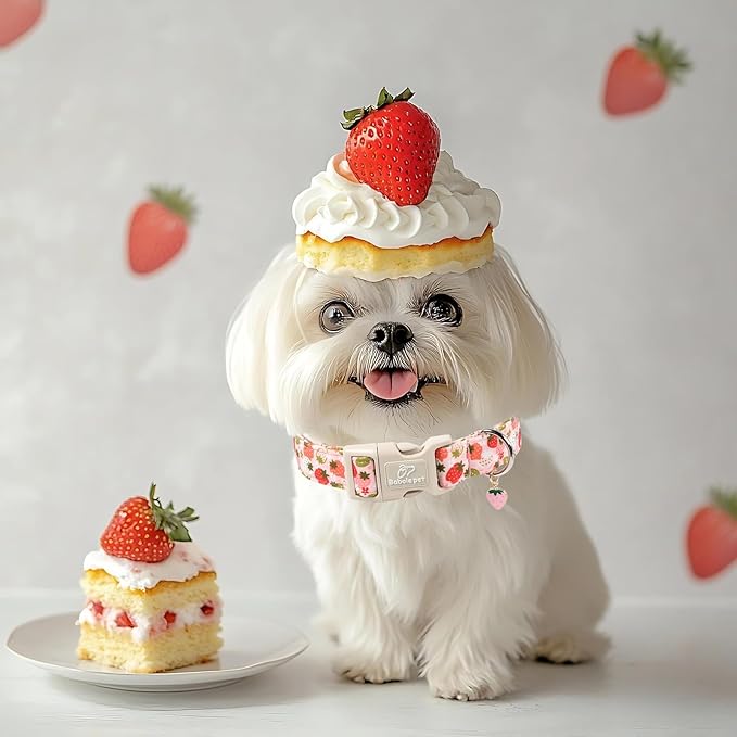 Babole Pet Strawberry Dog Collar for Small Dogs - Cute Spring Pink Dog Collars, Summer Pastel Puppy Collars, Soft Adjustable Boy Girl Dogs Collar with Quick-Release Buckle XS