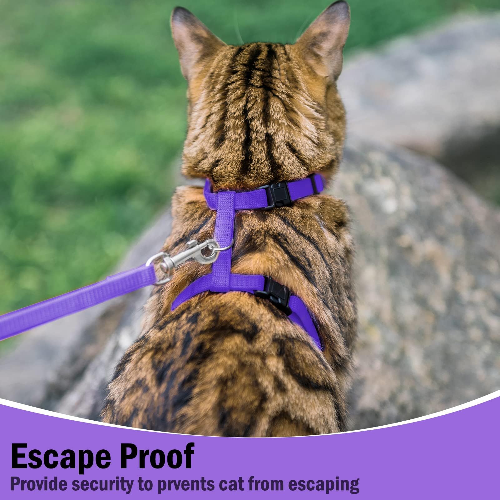 PUPTECK Adjustable Cat Harness and Leash Set Escape Proof Kitten Strap Collar for Walking Travel, Purple, M