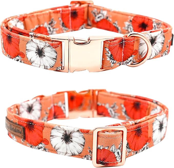 Bobo Rainbow Fall Dog Collar, Pet Collar Bow Floral Pet Collar Girl Boy Holiday Collars Gift Bow Cute Soft Puppy Collars for X-Small