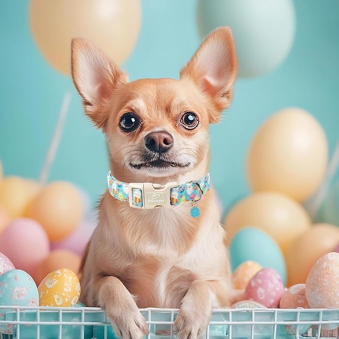Babole Pet Easter Dog Collar for Small Dogs - Cute Easter Egg Hunt Dog Collars for Boy Girl Dogs, Playful Bunny & Chick Print, Lightweight Adjustable Spring Holiday Dog Collar S