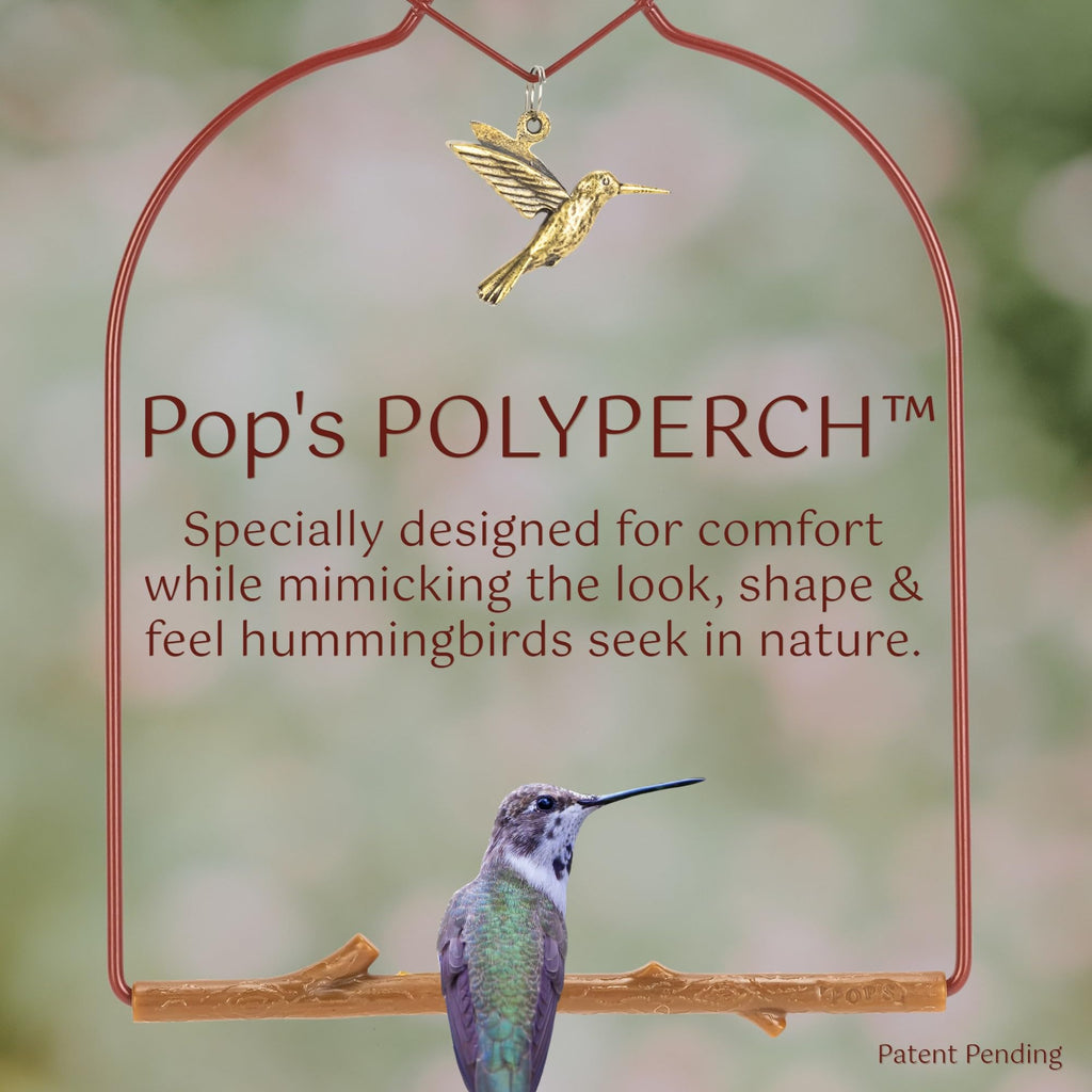 Pop's Birding Hummingbird Swing,USA Made Original Charm Humming Bird Swing for Outdoors - Perfect Bird Perch for Small Wild Birds Backyard Birding - 100% Made in USA, Hook Included