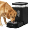 1.7 Gallon Automatic Dog Water Dispenser with Stainless Steel Bowl