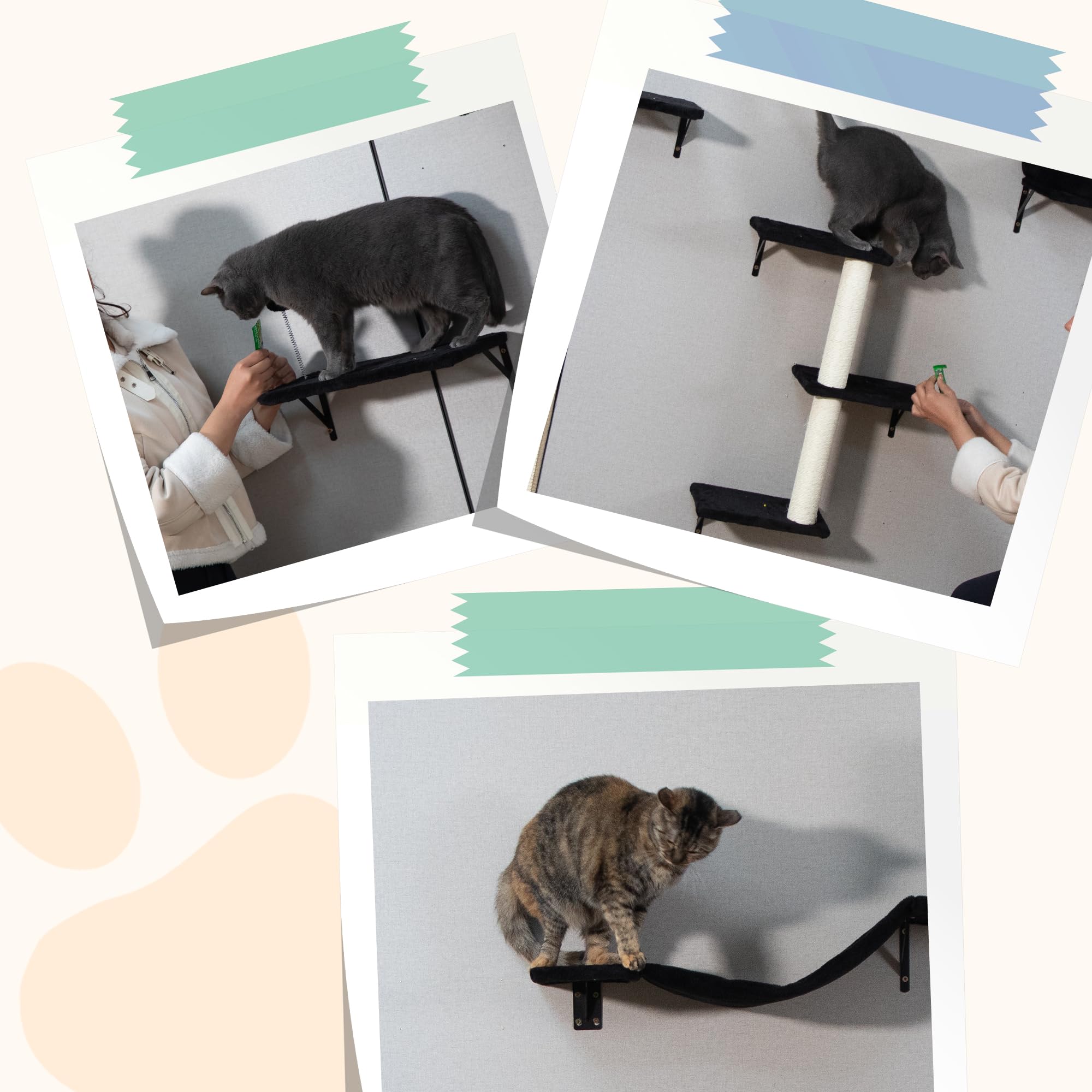 COZIWOW 5Pcs Wall Mount Cat Tree & Shelf Furniture for Large Cats, Black