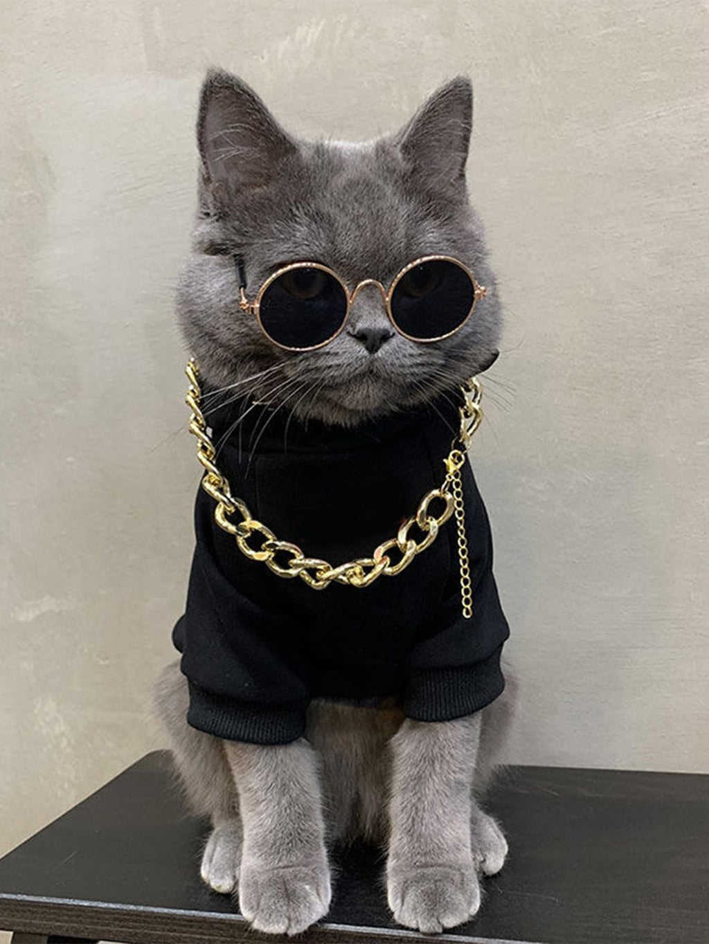 QWINEE 3Pcs Dog Hoodie Cat Apparel Dog Custume Set with Necklace and Sunglasses Pet Clothes for Puppy Small Medium Dogs Cats Multicolor M