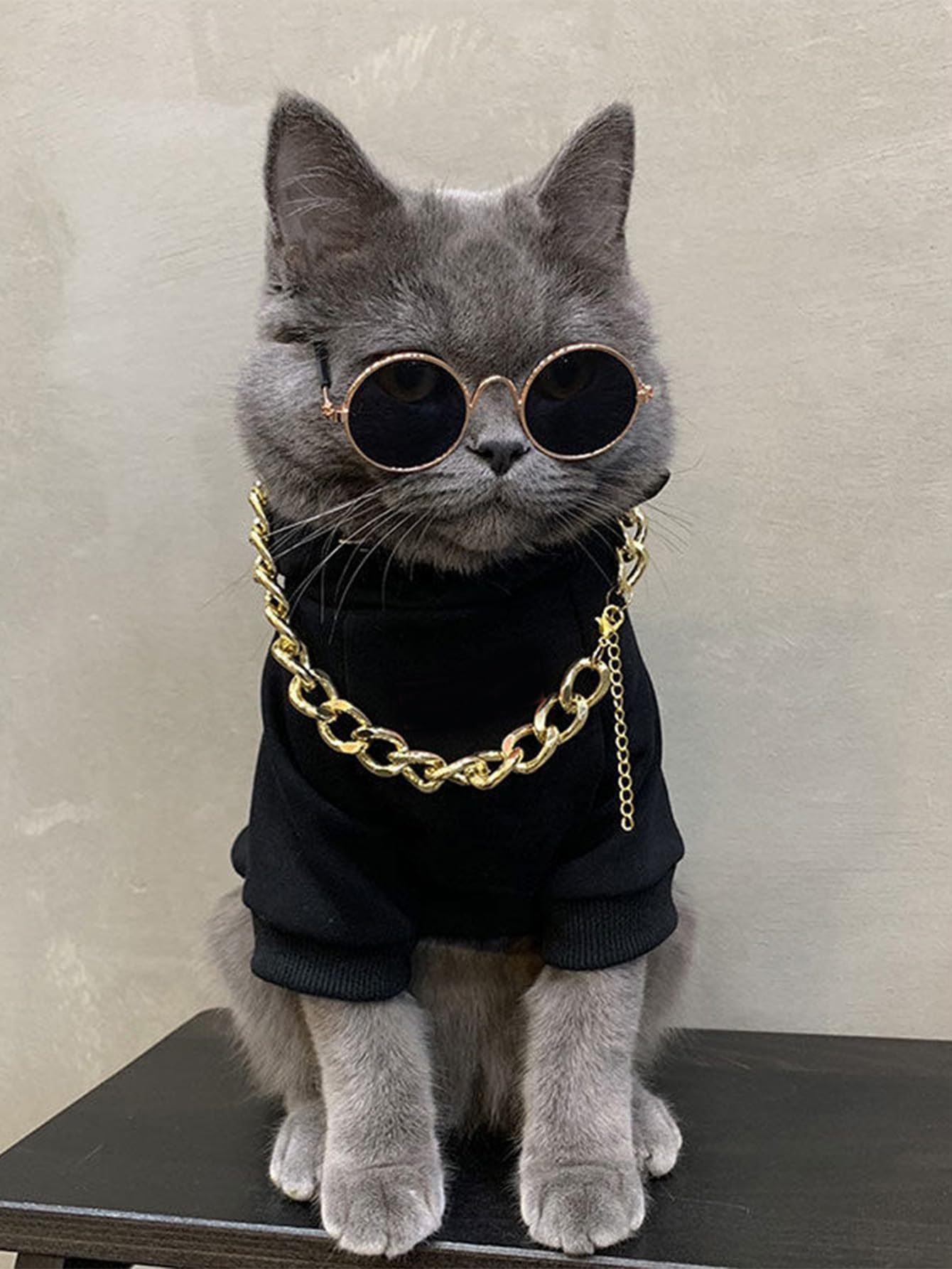 QWINEE 3Pcs Dog Hoodie Cat Apparel Dog Custume Set with Necklace and Sunglasses Pet Clothes for Puppy Small Medium Dogs Cats Multicolor M