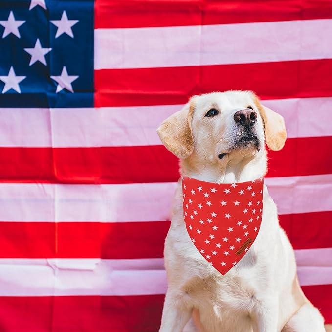 ADOGGYGO Star Dog Bandana 2 Pack, Reversible Red Blue Patriotic Pet Scarf Bib, Adjustable Fit 4th of July Star Bandanas for Small Dogs Pets (Small)