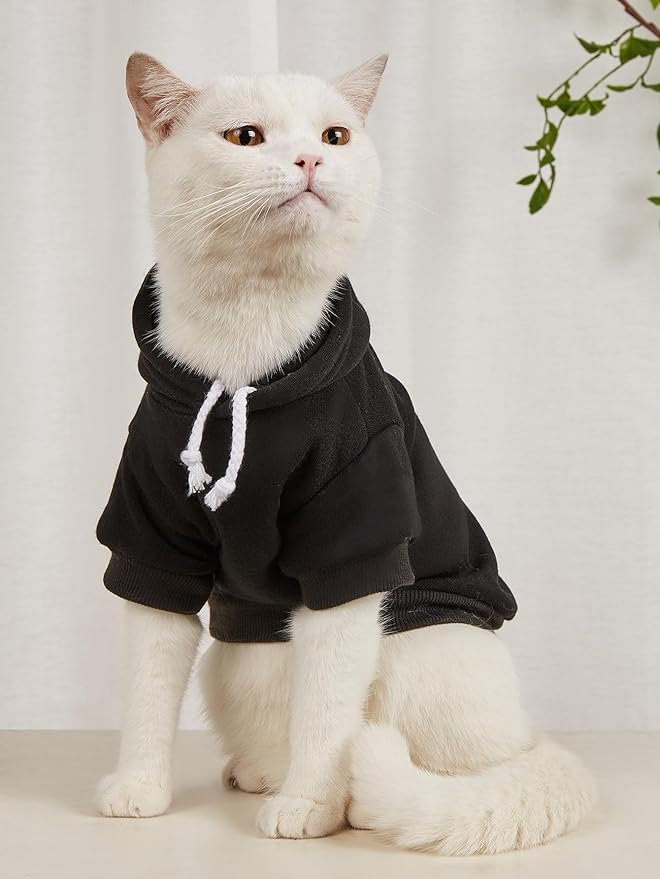 QWINEE Basic Dog Hoodie Sweatshirt Puppy Sweater Warm Cat Costumes Pet Clothes for Chihuahua Puppy Kitten Small Medium Dogs Multicolored X-Large