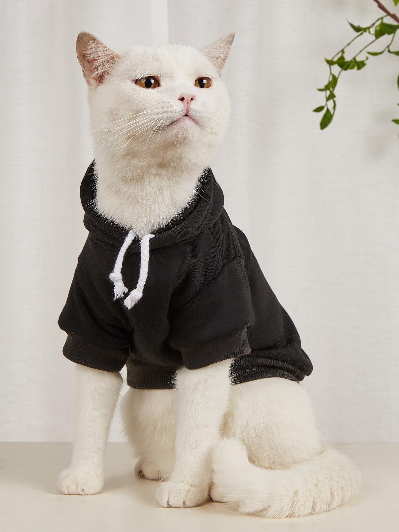 QWINEE Basic Dog Hoodie Sweatshirt Puppy Sweater Warm Cat Costumes Pet Clothes for Chihuahua Puppy Kitten Small Medium Dogs Black and Pink Large
