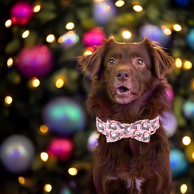Bobo Rainbow Christmas Dog Collar, Pink Christmas Santa Claus Dog Collar Bow Tie Pet Collars with Bow Adjustable Pet Collars with Premium Metal Buckle Dogs Necklace for Medium Girl Dogs