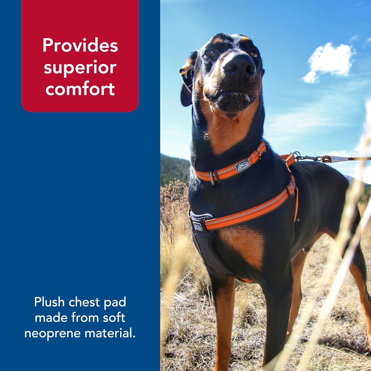 Coastal Pet K9 Explorer Reflective Adjustable Padded Dog Harness - Plush Chest Pad for Comfort - No-Pull Dog Harness for Small and Large Dogs - Berry - 5/8" x 12"-18", X-Small