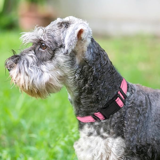 Joytale Reflective Dog Collar, Adjustable Neoprene Padded, Pink L